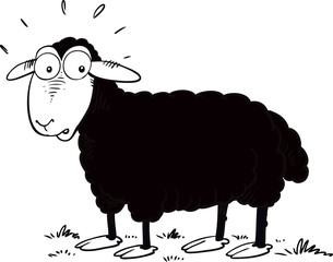 Cute Black Sheep