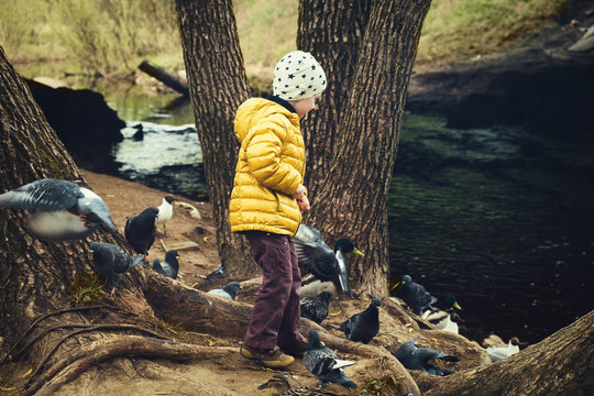 Boy feeding birds (pigeons) in the parc