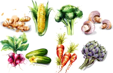 Photo sur Aluminium brossé Des légumes Aquarelle de légumes Collection de jeu de vecteur. Champignons, maïs, radis et artichauts