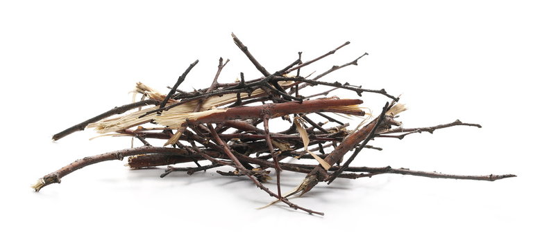 pile of twigs clipart