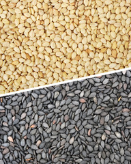 sesame background