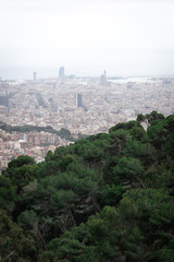 Fototapeta na wymiar Point of view of the city of Barcelona since Tibidabo with a forest in foreground and under a grey sky. Catalonia, Spain.