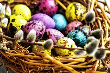 multi-colored quail eggs painted for Easter are in a basket with willow.