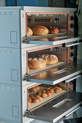 Industrial electric oven for catering with set food