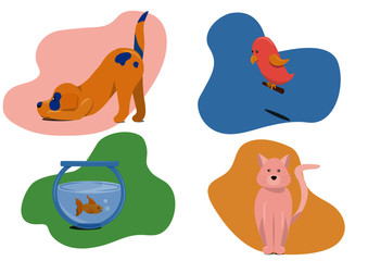 Pastell Pets