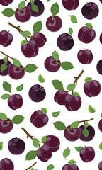 Fresh purple plum seamless pattern, Vector illustration isolated on white background