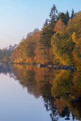 Obraz premium Lakeside autumn colors 