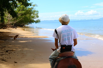 horse riding, Krabi thailand