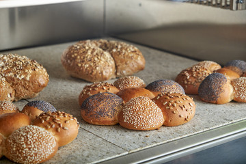 Industrial electric oven for catering with set food