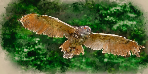 Watercolour painting of Stunning European eagle owl in flight
