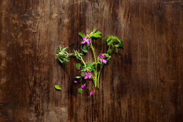 Wild flowers flat lay on wooden background