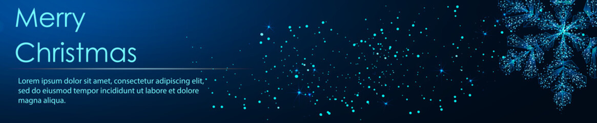 Shining Snowflakes. Banner. Abstract image of a starry sky or space, consisting of points, lines, n the form of stars and the universe. Low poly vector