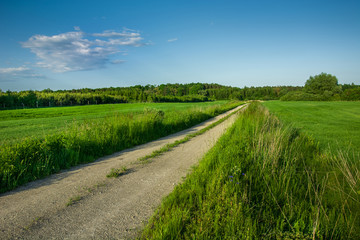 Gravel road through green fields, forest and cloud on blue sky