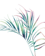 Artistic print design with exotic greenery. Watercolor palm tree branches on white background.