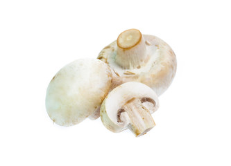 Mushroom champignon isolated on white background