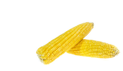 An ear of corn isolated on a white background
