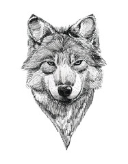 Black Ink Tattoo Hand Drawn Wolf Portrait - obrazy, fototapety, plakaty