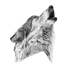 Black Ink Tattoo Hand Drawn Wolf Portrait