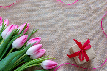 Pink tulips and present isolated on a cloth background.