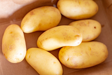 Group of fresh raw unpeeled potatoes in the kitchen 