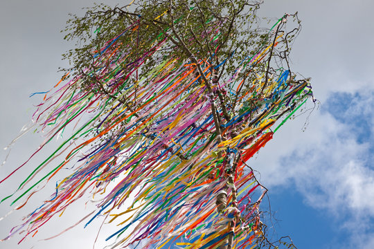 Maibaum mit bunten flatternden B&auml;ndern