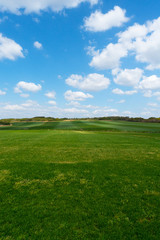 paesaggio bello campo e cielo