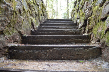 stairs in the park
