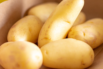 fresh potatoes on wooden background