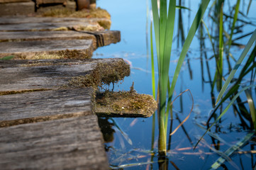 Boards of the old rustic wooden jetty