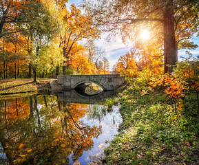 Fototapeta na wymiar Осенний пейзаж с мостом Autumn landscape with a bridge