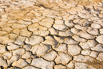 The drought, global warming, environment changes suddenly.
