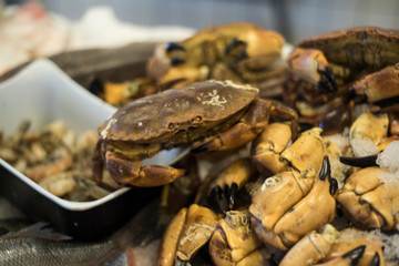 Krebsscheren im Fischgeschäft