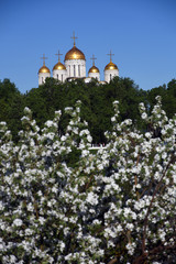 Assumption cathedral in Vladimir city, Russia. Popular landmark.