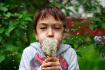 Little boy blowing a dandelion