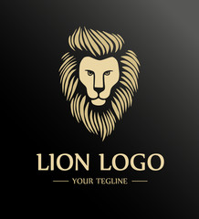King Lion Head Logo Template, Brand Identity. Lion logo template. Vector illustration