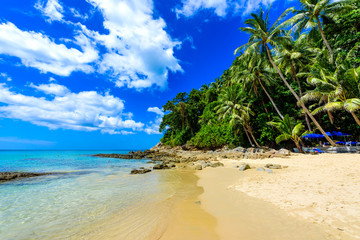 Fototapeta na wymiar Surin beach, Paradise beach with golden sand, crystal water and palm trees, Patong area on Phuket Island, Tropical travel destination, Thailand
