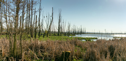 Seen im Nationalpark Müritz