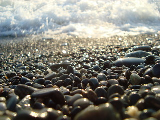 sea coast