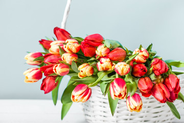 Fototapeta premium Spring tulip. Bouquet of flowers in a basket.