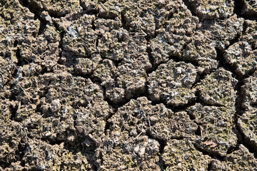 Dry cracked earth background, cracked earth texture