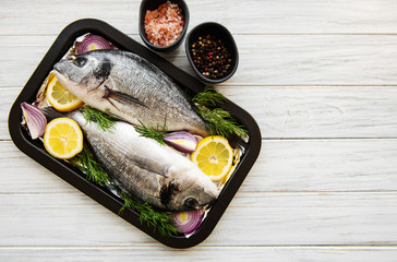 Fresh fish dorado