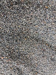 Sabut Urad Dal 3