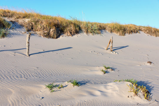 D&uuml;nenlandschaft an der Ostseek&uuml;ste in Heiligenhafen