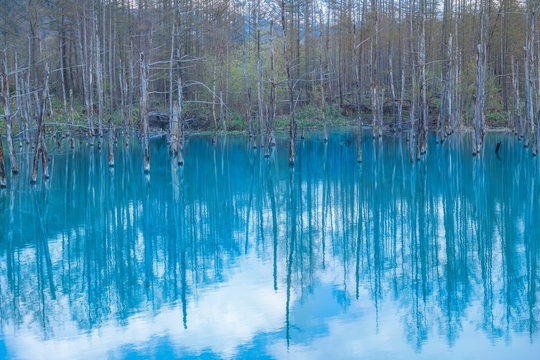 Macの壁紙 Images Browse 4 Stock Photos Vectors And Video Adobe Stock