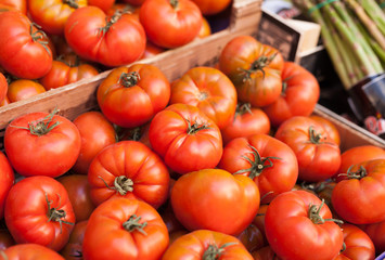 lots of tomatoes on a branch on counter