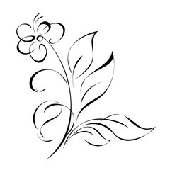 one stylized flower on a stem with leaves in black lines on a white background