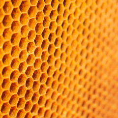 honeycomb honey texture