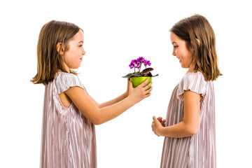 Identical twin girl giving viola flower pot to her sister.