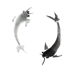 japanese carps watercolor