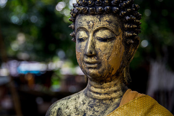 Buddha Statue against Green Background